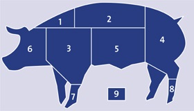 wholesale frozen pork, Pork